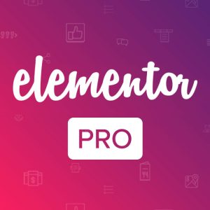 Elementor Pro - License Key